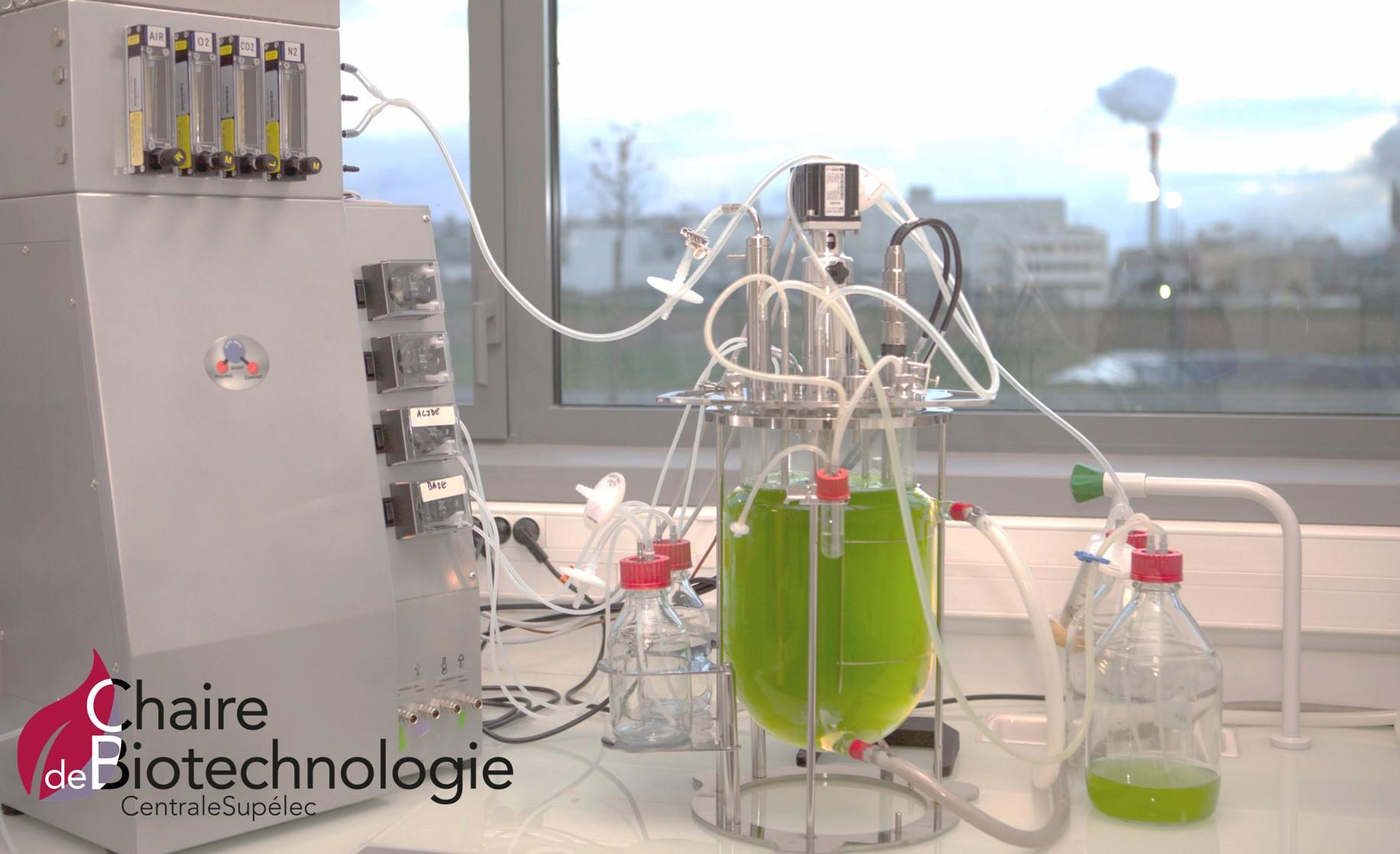 Chaire de Biotechnologie - CentraleSupélec